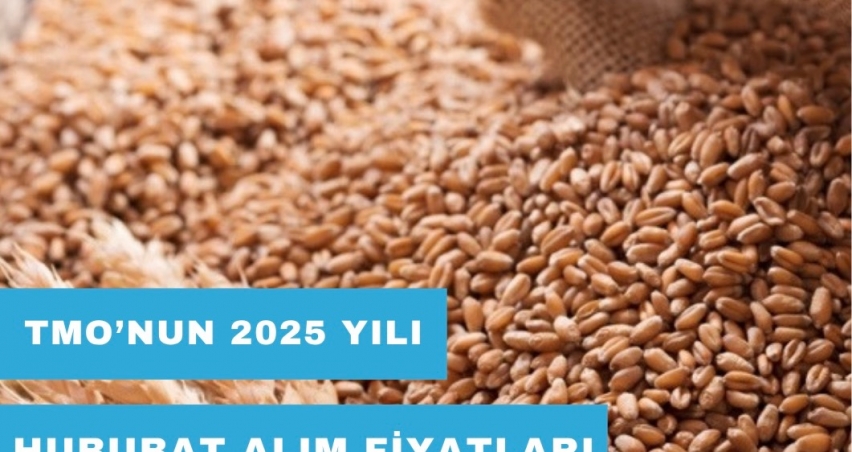 TMO’NUN 2025 YILI HUBUBAT ALIM FİYATLARI BELLİ OLDU